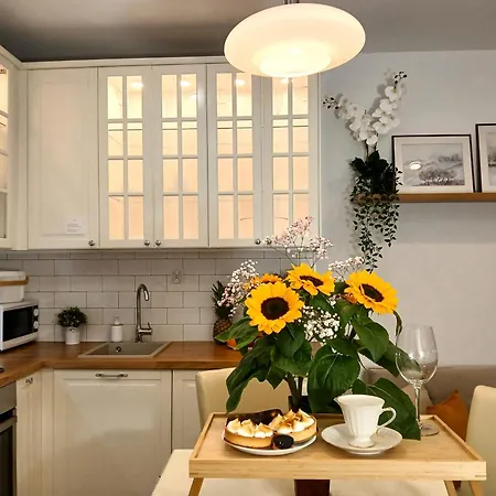 Downtown Elegant & Sunny Near Metro Station Varsavia