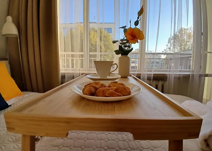 Downtown Elegant & Sunny Near Metro Station *