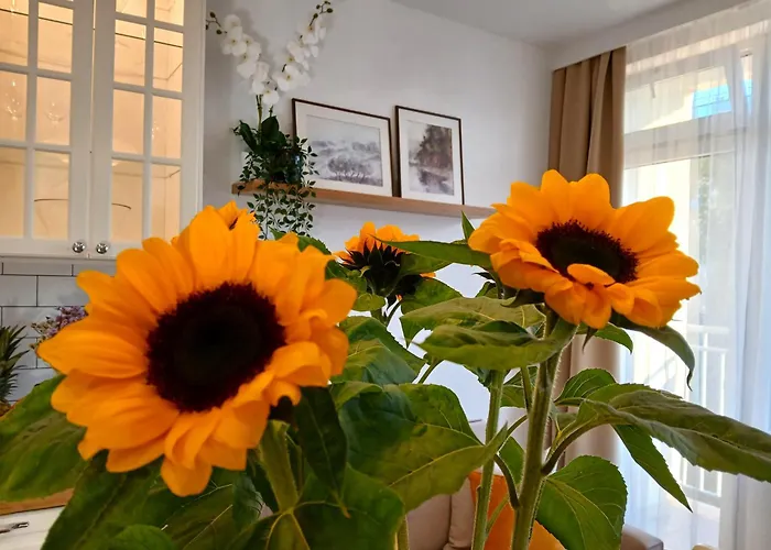 Apartament Downtown Elegant & Sunny Near Metro Station *