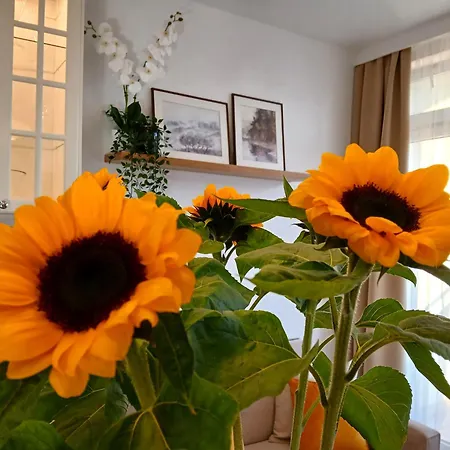 Apartment Downtown Elegant & Sunny Near Metro Station *